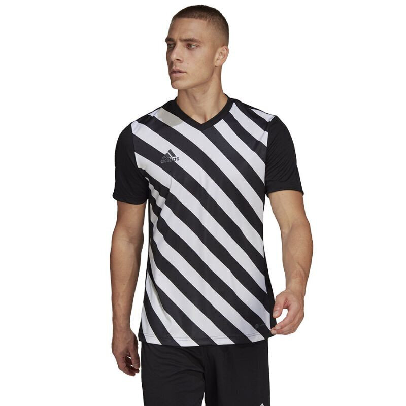 Meeste T-särk Adidas Entrada 22 Graphic Jersey, must hind ja info | Meeste spordiriided | kaup24.ee