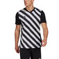 Meeste T-särk Adidas Entrada 22 Graphic Jersey, must hind ja info | Meeste spordiriided | kaup24.ee