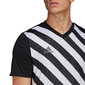 Meeste T-särk Adidas Entrada 22 Graphic Jersey, must hind ja info | Meeste spordiriided | kaup24.ee