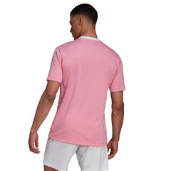 Мужская спортивная футболка Adidas Entrada 22 Jersey, розовая цена и информация | Adidas Мужская одежда | kaup24.ee