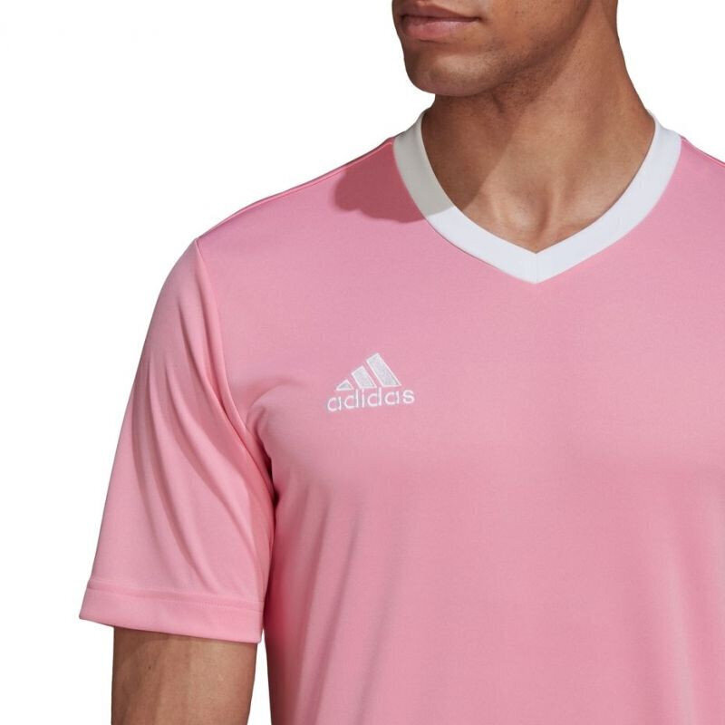 Meeste T-särk Adidas Entrada 22 Jersey, roosa hind ja info | Meeste spordiriided | kaup24.ee