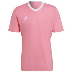 Meeste T-särk Adidas Entrada 22 Jersey, roosa hind ja info | Meeste spordiriided | kaup24.ee