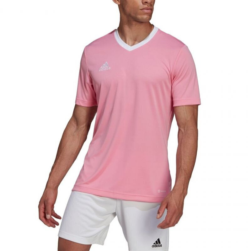 Meeste T-särk Adidas Entrada 22 Jersey, roosa hind ja info | Meeste spordiriided | kaup24.ee