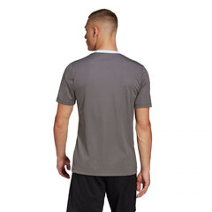 Meeste T-särk Adidas Entrada 22 Jersey, hall hind ja info | Meeste spordiriided | kaup24.ee