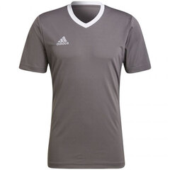 Meeste T-särk Adidas Entrada 22 Jersey, hall цена и информация | Мужская спортивная одежда | kaup24.ee