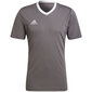 Meeste T-särk Adidas Entrada 22 Jersey, hall hind ja info | Meeste spordiriided | kaup24.ee