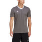 Meeste T-särk Adidas Entrada 22 Jersey, hall hind ja info | Meeste spordiriided | kaup24.ee