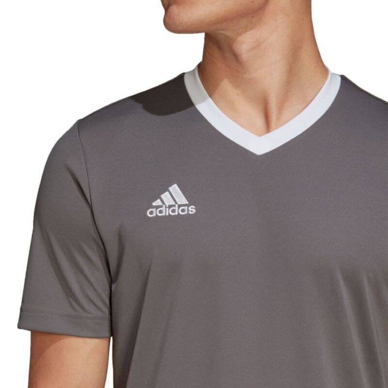 Meeste T-särk Adidas Entrada 22 Jersey, hall hind ja info | Meeste spordiriided | kaup24.ee