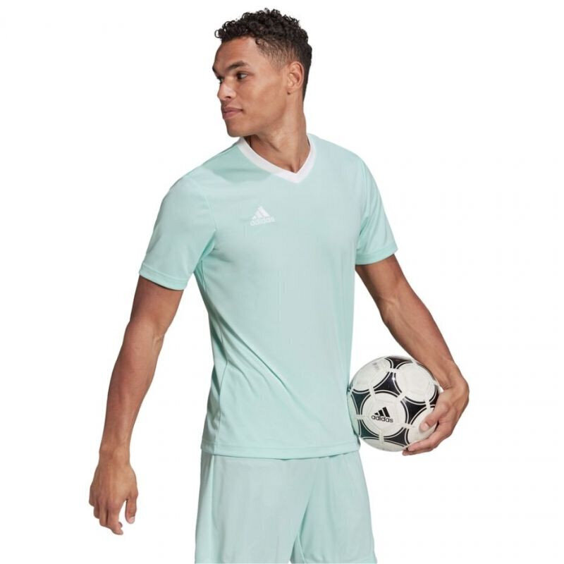 Meeste T-särk Adidas Entrada 22 Jersey, sinine hind ja info | Meeste spordiriided | kaup24.ee