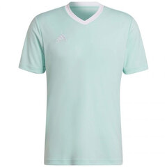 Мужская спортивная футболка Adidas Entrada 22 Jersey, синяя цена и информация | Мужская спортивная одежда | kaup24.ee