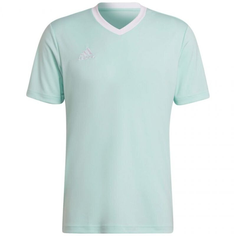 Meeste T-särk Adidas Entrada 22 Jersey, sinine hind ja info | Meeste spordiriided | kaup24.ee