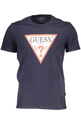 Футболка мужская Guess Jeans M1RI71I3Z11 цена и информация | Meeste T-särgid | kaup24.ee