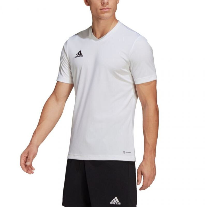 Meeste T-särk Adidas Entrada 22 Jersey, valge hind ja info | Meeste spordiriided | kaup24.ee