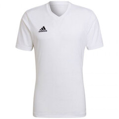 Мужская футболка Adidas Entrada 22 Jersey, белая цена и информация | Мужская спортивная одежда | kaup24.ee