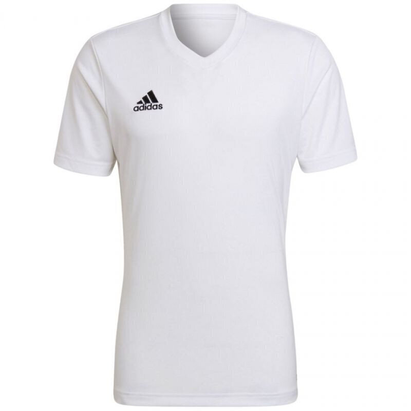 Meeste T-särk Adidas Entrada 22 Jersey, valge hind ja info | Meeste spordiriided | kaup24.ee