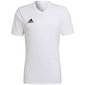 Meeste T-särk Adidas Entrada 22 Jersey, valge цена и информация | Meeste spordiriided | kaup24.ee