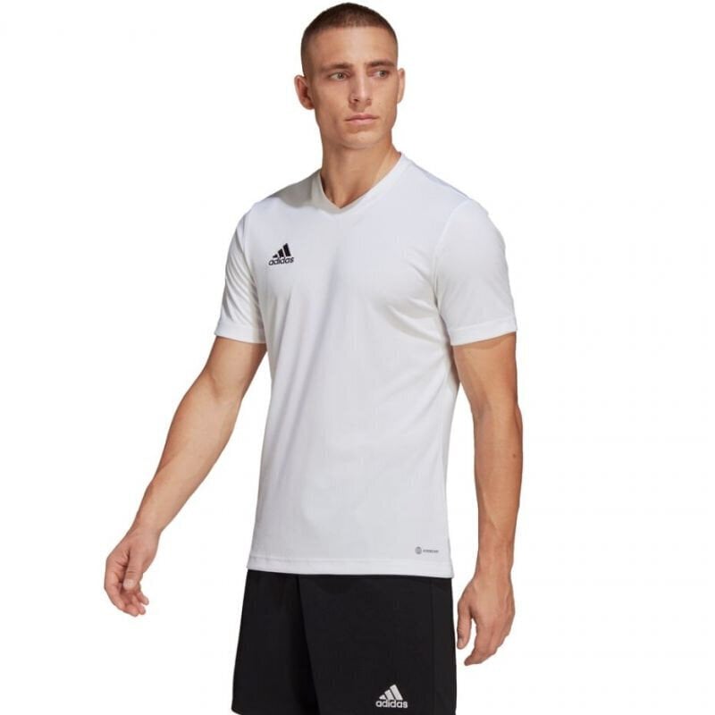 Meeste T-särk Adidas Entrada 22 Jersey, valge hind ja info | Meeste spordiriided | kaup24.ee