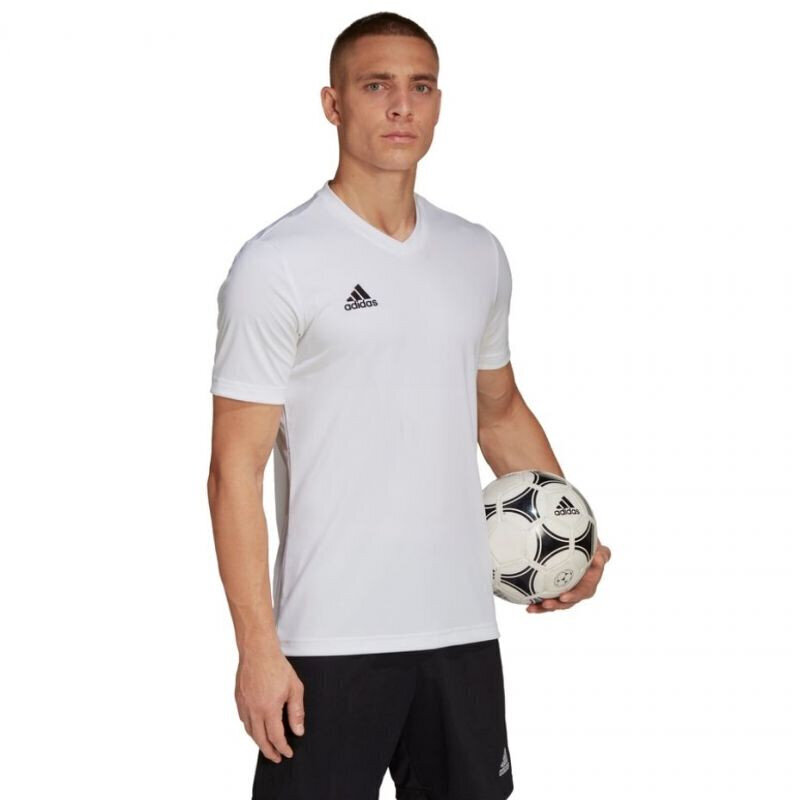 Meeste T-särk Adidas Entrada 22 Jersey, valge hind ja info | Meeste spordiriided | kaup24.ee