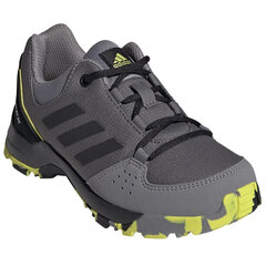 Meeste tossud Adidas Terrex Hyperhiker Low K Jr FX4190 hind ja info | Spordi- ja vabaajajalatsid meestele | kaup24.ee