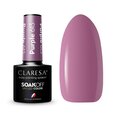 Стойкий гибридный лак для ногтей Claresa Purple 613, 5 г