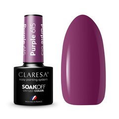 Стойкий гибридный лак для ногтей Claresa Purple 615, 5 г цена и информация | Лаки для ногтей, укрепители для ногтей | kaup24.ee