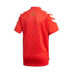 Laste T-särk Adidas Salah Football Inspired Jr GM9003, punane цена и информация | Рубашки для мальчиков | kaup24.ee