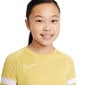 Laste T-särk Nike NK Df Academy21 Top SS Jr CW6103 700, kollane цена и информация | Poiste särgid | kaup24.ee