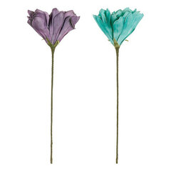 Декоративный цветок DKD Home Decor, 2 шт цена и информация | Искусственные цветы | kaup24.ee