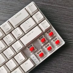 Motospeed CK67 TKL RGB цена и информация | Клавиатура с игровой мышью 3GO COMBODRILEW2 USB ES | kaup24.ee