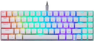 Motospeed CK67 TKL RGB цена и информация | Клавиатура с игровой мышью 3GO COMBODRILEW2 USB ES | kaup24.ee