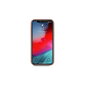 Telefoniümbris Guess iPhone 12 Pro Max 6,7'' цена и информация | Telefoni kaaned, ümbrised | kaup24.ee