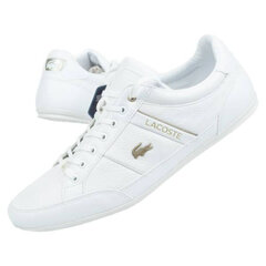 Meeste tossud Lacoste Chaymon 0721 M 7-41CMA006321G, valged hind ja info | Lacoste Lapsed ja imikud | kaup24.ee