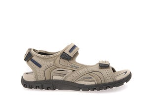 Geox meeste sandaalid MO SANDAL STRADA hind ja info | Meeste plätud, sussid | kaup24.ee