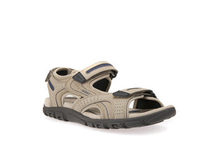 Geox meeste sandaalid MO SANDAL STRADA hind ja info | Meeste plätud, sussid | kaup24.ee