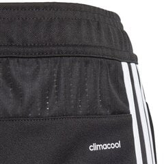 Poiste dressipüksid Adidas Tiro 17 Junior, mustad hind ja info | Poiste püksid | kaup24.ee