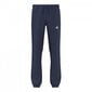 Laste dressipüksid Adidas Core 15 Sweat Pants Junior S22346, sinine hind ja info | Poiste püksid | kaup24.ee