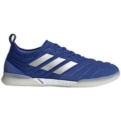 Meeste jalgpallijalatsid Adidas Copa 20.1 IN M EH0889 цена и информация | Футбольные бутсы | kaup24.ee