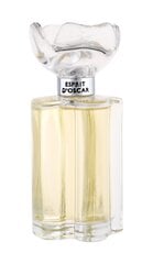 Женский аромат Oscar De La Renta Oscar Spirit Of Oscar, Eau De Parfum, 100 мл цена и информация | Женские духи | kaup24.ee