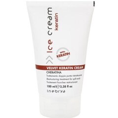 Inebrya Restruktureeriv kreem juukselõhnadele Ice Cream Keratin (Velvet Keratin Cream) 100 ml hind ja info | Maskid, õlid, seerumid | kaup24.ee