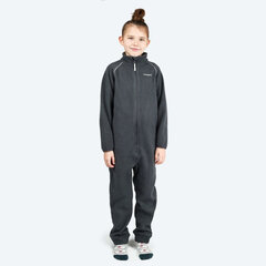 Комбинезон для мальчиков Icepeak цена и информация | Зимняя одежда для детей | kaup24.ee