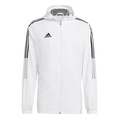 Meeste dressipluus Adidas Tiro GP4966 hind ja info | Meeste spordiriided | kaup24.ee