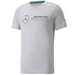 Meeste spordisärgid Puma Mercedes F1 Logo Tee M 531885-02, hallid цена и информация | Meeste spordiriided | kaup24.ee