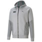 Meeste dressipluus Puma Mercedes-AMG Petronas F1 Hooded 599609-02, hall hind ja info | Meeste spordiriided | kaup24.ee