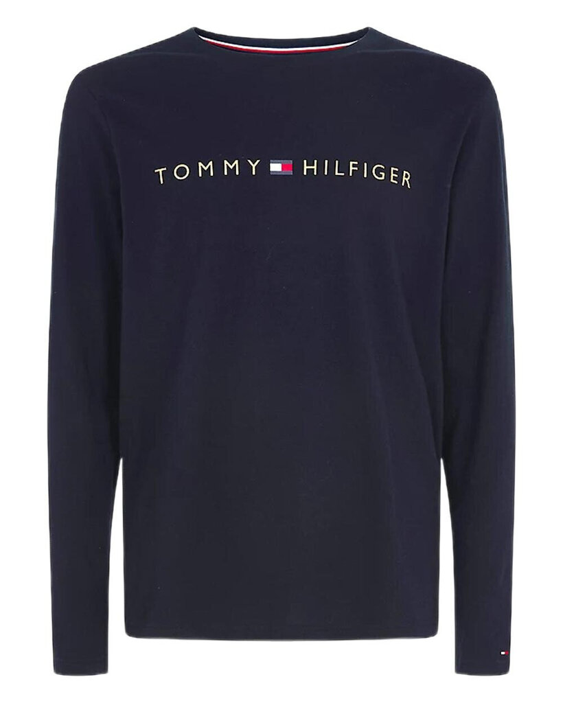 Meeste T-särk Tommy Hilfiger BFN-G-335177, sinine цена и информация | Meeste alussärgid | kaup24.ee