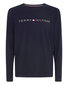 Meeste T-särk Tommy Hilfiger BFN-G-335177, sinine цена и информация | Meeste alussärgid | kaup24.ee