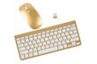 Wireless Keyboard Set цена и информация | Klaviatuurid | kaup24.ee