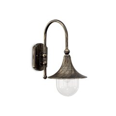 Настенный светильник Cima Ap1 Nero Antico 24134 цена и информация | Уличное освещение | kaup24.ee