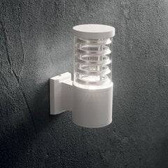 Настенный светильник Tronco Ap1 Bianco 118659 цена и информация | Уличное освещение | kaup24.ee