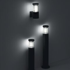 Настенный светильник Tronco Ap1 Antracite 27005 цена и информация | Уличное освещение | kaup24.ee