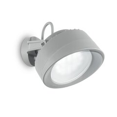 Настенный светильник Tommy Ap Grigio 4000K 145327 цена и информация | Уличное освещение | kaup24.ee
